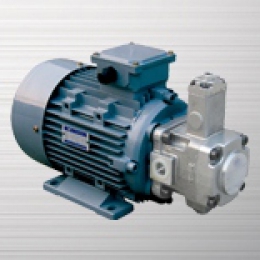 Variable vane pump motor combination