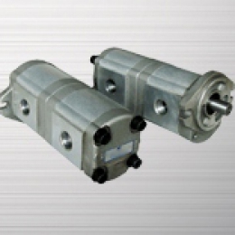 Variable vane pump+gear pump