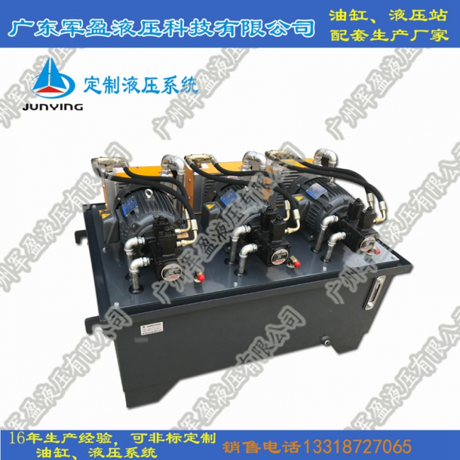 Customized hydraulic system2