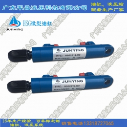 Customized micro oil cylinder